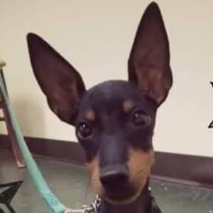 Meet your Posher, Lou ann